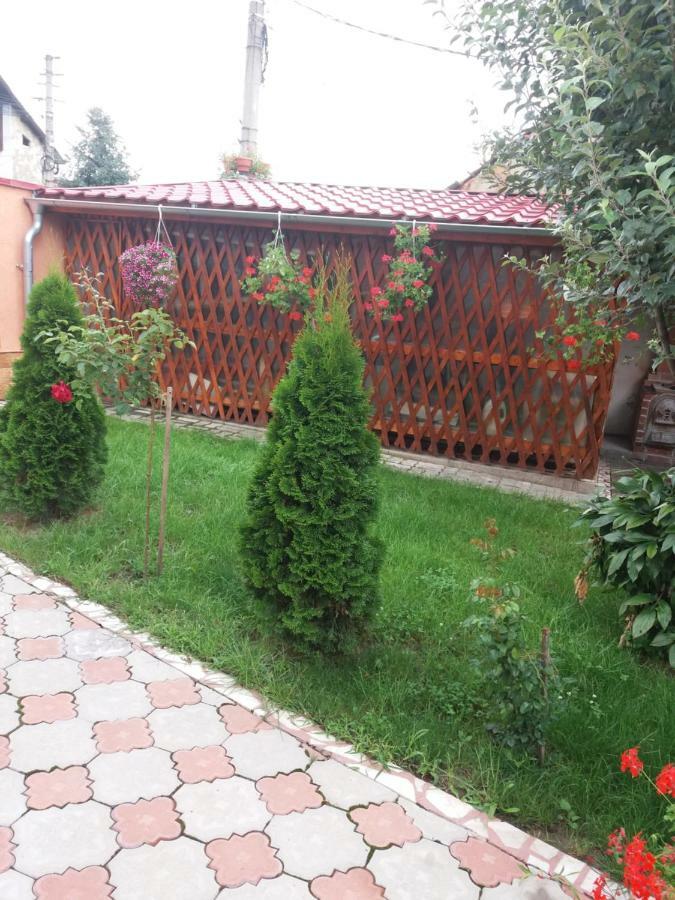 Olimpia Apartments Alba Iulia Extérieur photo