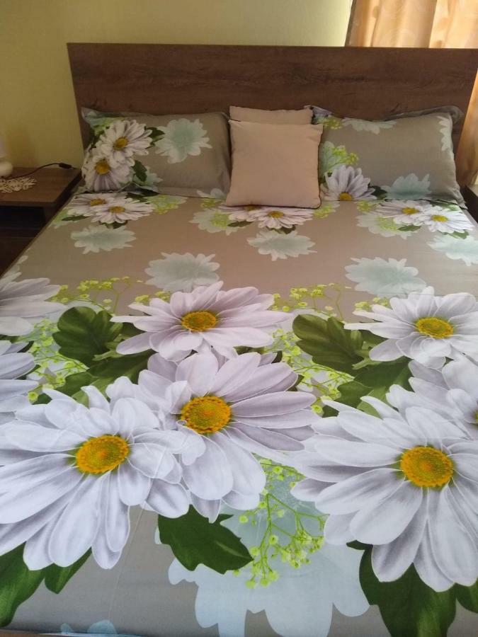 Olimpia Apartments Alba Iulia Extérieur photo